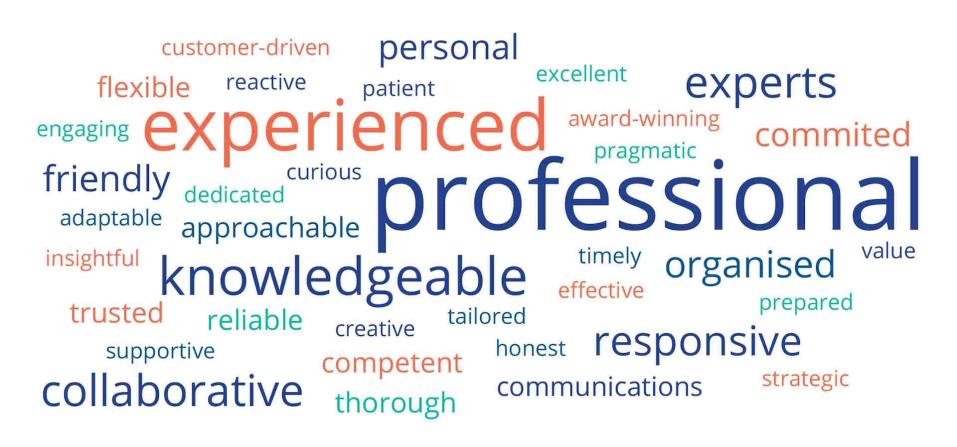 Client-Experience-word-cloud